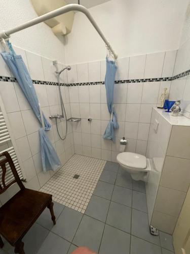 a bathroom with a shower and a toilet with blue at Ferienwohnung Moselsteig in Reil