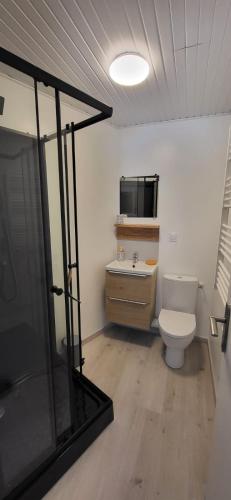 La salle de bains est pourvue de toilettes et d'une télévision murale. dans l'établissement La Louve, à Arbois