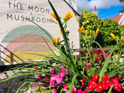 Zahrada ubytování The Loft at the Moon and Mushroom Inn - Suffolk Coast