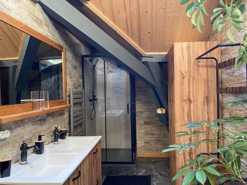 une salle de bain avec un lavabo et une douche en verre dans l'établissement Green Valley, à Habère-Lullin