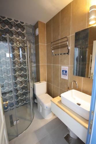 uma casa de banho com um WC, um lavatório e um chuveiro em Pensiunea Ataman em Murighiol