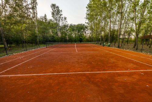 Εγκαταστάσεις για τένις ή/και σκουός στο Torontal ή εκεί κοντά