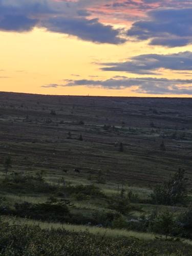 an open field with a sunset in the horizon at Villa Fregn in Ljørdal