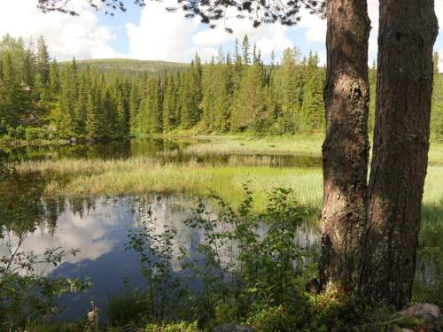 a lake in the middle of a forest at Villa Fregn in Ljørdal