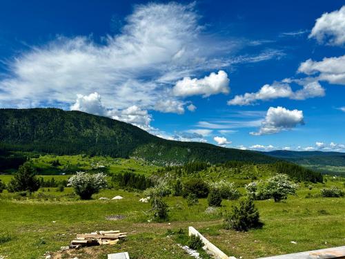 a picnic table in a field with a mountain at Vlasic Odmor - Villa Vlasicka Bajka in Vlasic