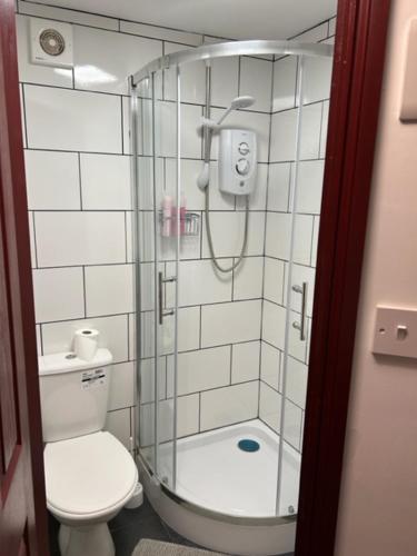 a bathroom with a shower and a toilet at Holland House in Great Yarmouth