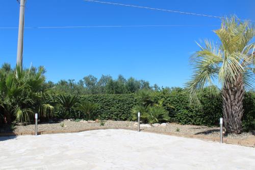 a palm tree in the middle of a beach at Villa Paternelli in Bisceglie