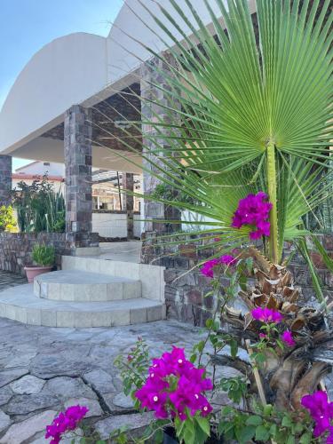 Zahrada ubytování Casas Rio Mulege