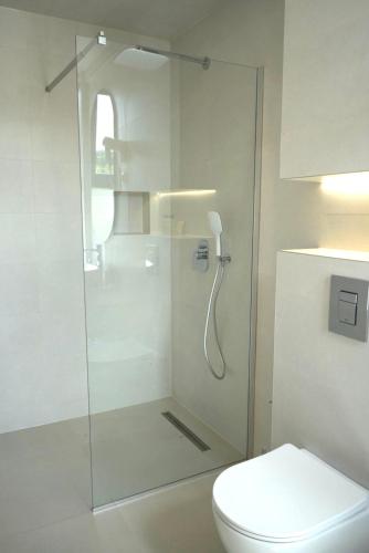a bathroom with a glass shower with a toilet at CASA V BENCUN Deluxe Queen Rooms in Kiseljak