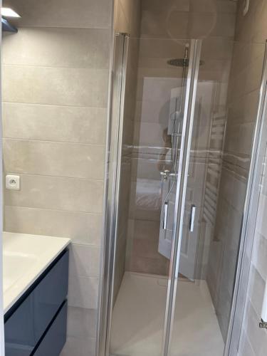 a shower with a glass door in a bathroom at Le Clos du Lupin in Saint-Coulomb
