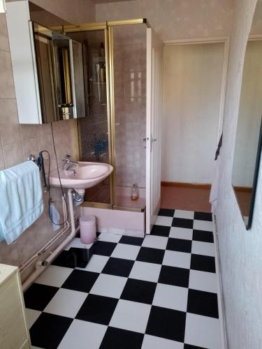 une salle de bain avec un lavabo et une douche et un sol en damier dans l'établissement Bienvenue chez Rosy, au Mans