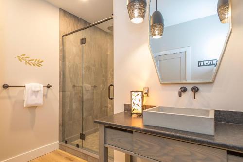 a bathroom with a shower and a sink at Skyview Oasis Modern Build 1 Mile from Downtown Black Mtn! in Black Mountain