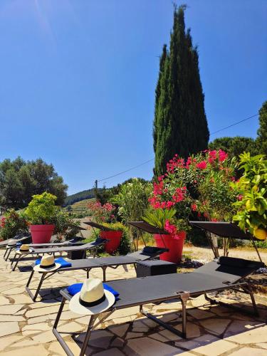 une rangée de tables et de chaises avec des fleurs et des plantes dans l'établissement Logement La Belle Provence, au Beausset