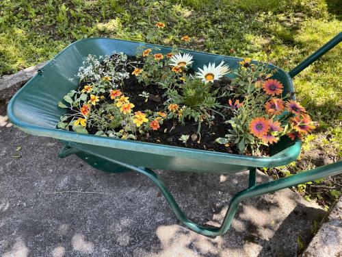 a green wheelbarrow filled with flowers in a garden at Kuća za odmor PEPA in Brod Moravice