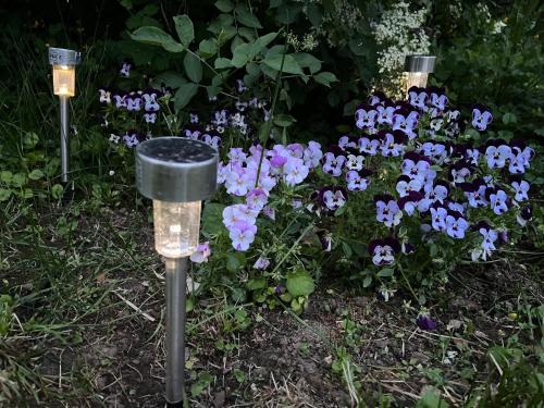 three lights in a garden with purple and blue flowers at Kuća za odmor PEPA in Brod Moravice