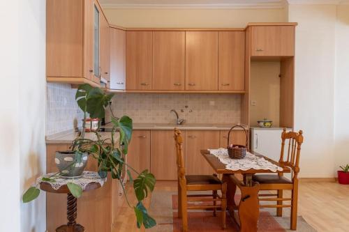 a kitchen with wooden cabinets and a table with a plant at Litochoro Olympus Studio in Litochoro