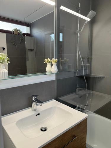 Un baño con un lavabo blanco y un espejo. en Isaak Apartment Sonnenklang, en Küssaberg