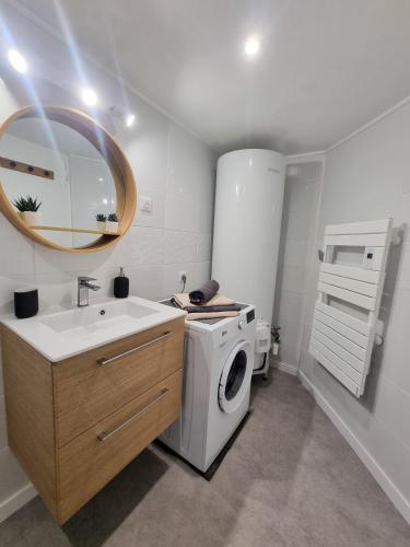 une salle de bain avec une machine à laver et un lavabo dans l'établissement Duplex Le Chai de l'Abreuvoir, à Saintes