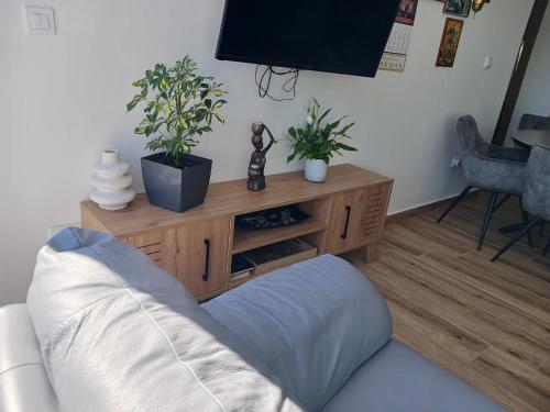TV a/nebo společenská místnost v ubytování Blue sky apartman
