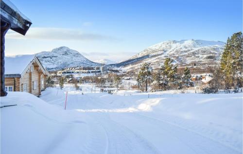 a house in the snow with mountains in the background at Pet Friendly Home In Hovden I Setesdal in Hovden