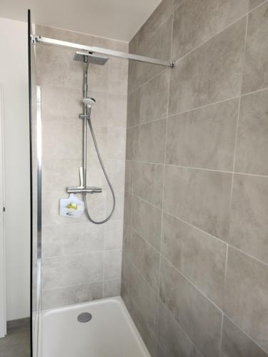 a bathroom with a shower with a toilet in it at Appartement Fleur De Houblon in Schiltigheim