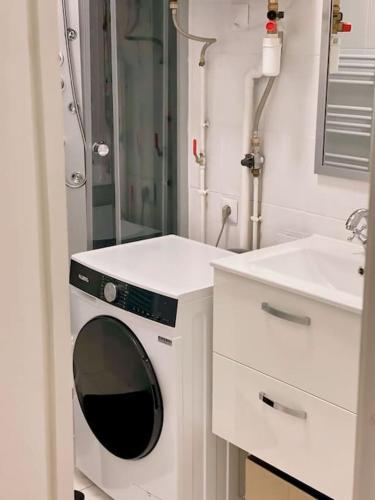 une machine à laver dans une salle de bain à côté d'un lavabo dans l'établissement Appart F2 40m2 Stade de France, à Saint-Denis