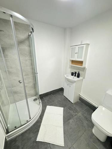 a bathroom with a shower and a toilet and a sink at Luxury cozy 3 bed Apartment 5mins from city - free parking! in Nottingham