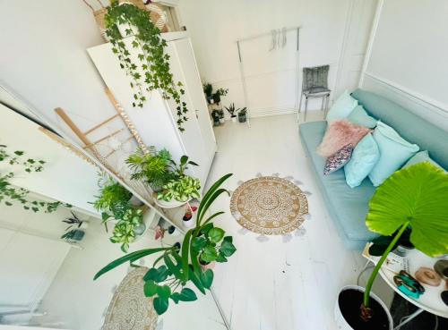 une pièce remplie de beaucoup de plantes et d'un canapé dans l'établissement Mon Cocon Parisien, à Paris