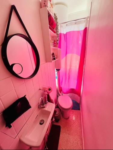 une salle de bains rose avec des toilettes roses et un lavabo dans l'établissement Mon Cocon Parisien, à Paris