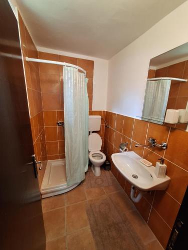 a bathroom with a toilet and a shower and a sink at Kuća za odmor Sara in Čortanovci