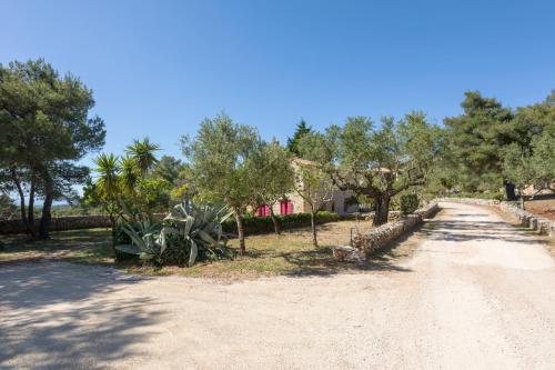 a dirt road with trees and a house in the distance at Aresti Mountain Resort in Agios Leon