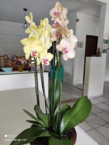 a bouquet of yellow and pink flowers in a vase at Renovo Beija-flor Hostel e Espaço Terapêutico in Bertioga