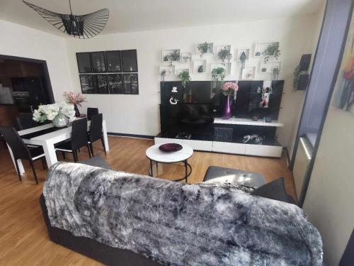 TV a/nebo společenská místnost v ubytování Bel Appartement pour 1 à 9 personnes