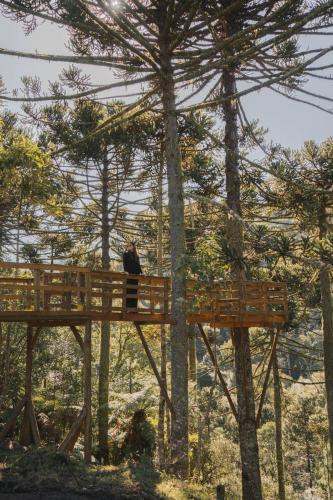 a person standing on a wooden bridge in the trees at Morada Reino Encantado in São Joaquim