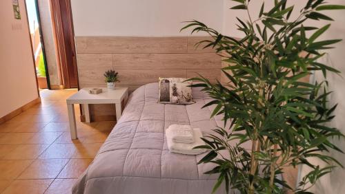 een bed in een kamer met een tafel en een plant bij Casa África y Ramona in Redondela