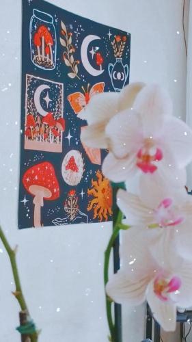 a white flower in a vase in front of a painting at Renovo Beija-flor Hostel e Espaço Terapêutico in Bertioga