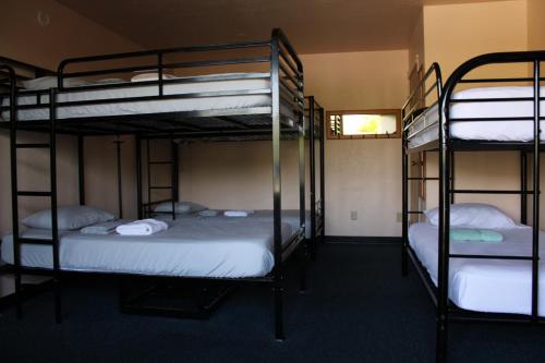 アシュランドにあるAshland Commons Hostelの二段ベッド1組