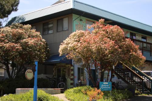 a building with two trees in front of it at Ashland Commons Hostel in Ashland