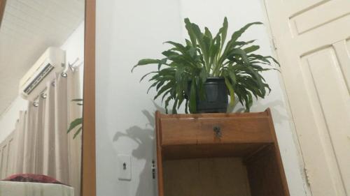 uma planta em vasos sentada em cima de um armário em Suíte próximo ao Shopping em Rio Branco