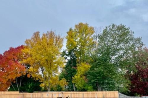 Φωτογραφία από το άλμπουμ του Good Vibes Portland Home - 4 Wonderful Seasons στο Πόρτλαντ
