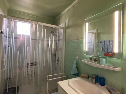 une salle de bain verte avec une douche et un lavabo dans l'établissement Maison Familiale à Saint-Cyprien, Proche Plage et Commerces - FR-1-732-75, à Saint-Cyprien