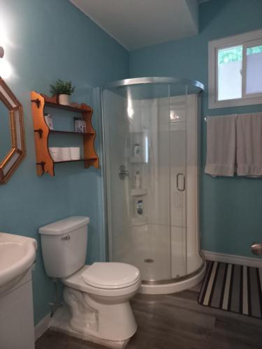 ein Bad mit einer Dusche, einem WC und einem Waschbecken in der Unterkunft Amor Bayridge in Kingston