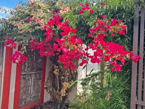 Un jardín fuera de Secret Cottage