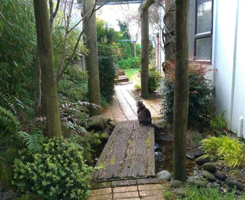 Un jardín fuera de Secret Cottage