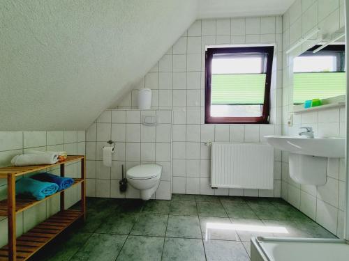 a bathroom with a toilet and a sink at Pension & Wirtshaus ''Tun Eikkoter'' Eichkater in Wieck