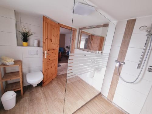 a bathroom with a shower and a toilet at Pension & Wirtshaus ''Tun Eikkoter'' Kobel III in Wieck