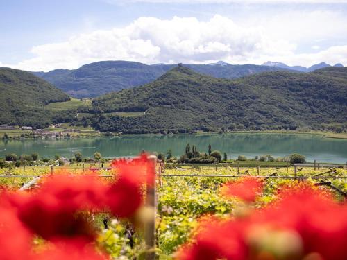 a view of a lake with mountains in the background at Arzenhof, Baron Di Pauli in Caldaro