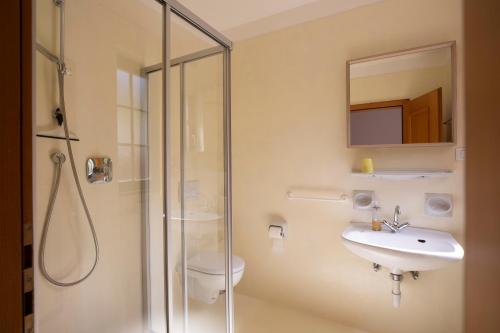 a bathroom with a shower and a sink and a toilet at Arzenhof, Baron Di Pauli in Caldaro