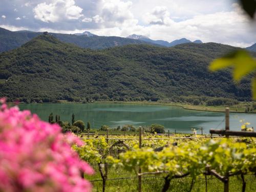 a view of a lake with mountains in the background at Arzenhof, Baron Di Pauli in Caldaro