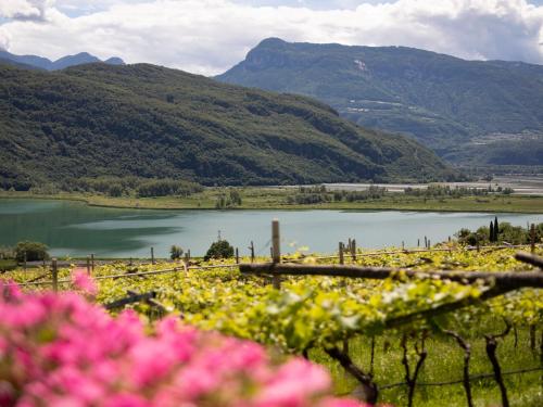 a view of a lake with mountains in the background at Arzenhof, Baron Di Pauli in Caldaro